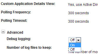 Application Debug.png